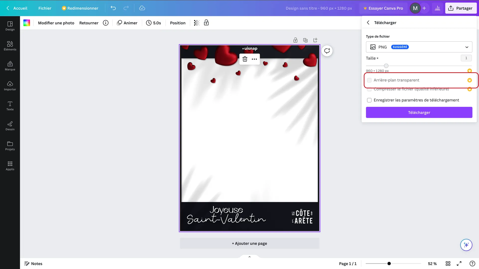 Canva screenshot — downloading PNG with transparent background